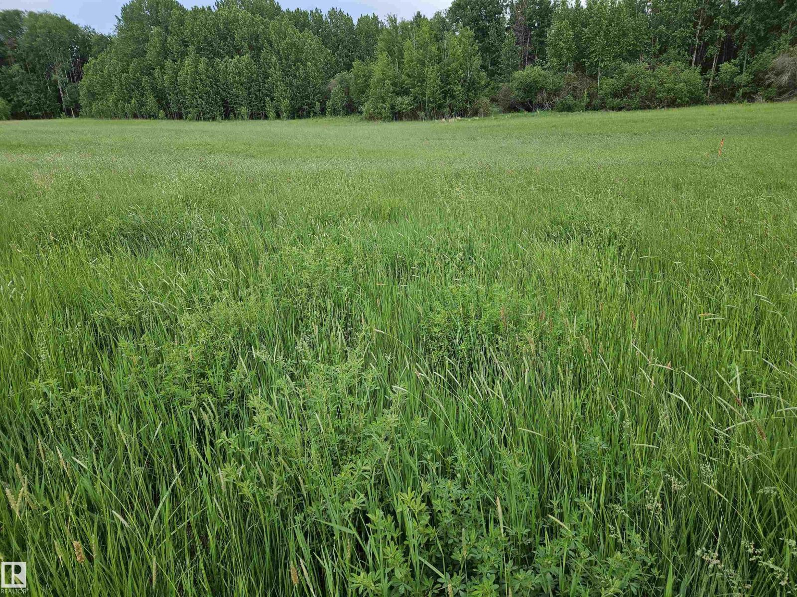 Range Road 63 Township Road 555a, Rural Lac Ste. Anne County, Alberta  T0E 2A0 - Photo 3 - E4494136