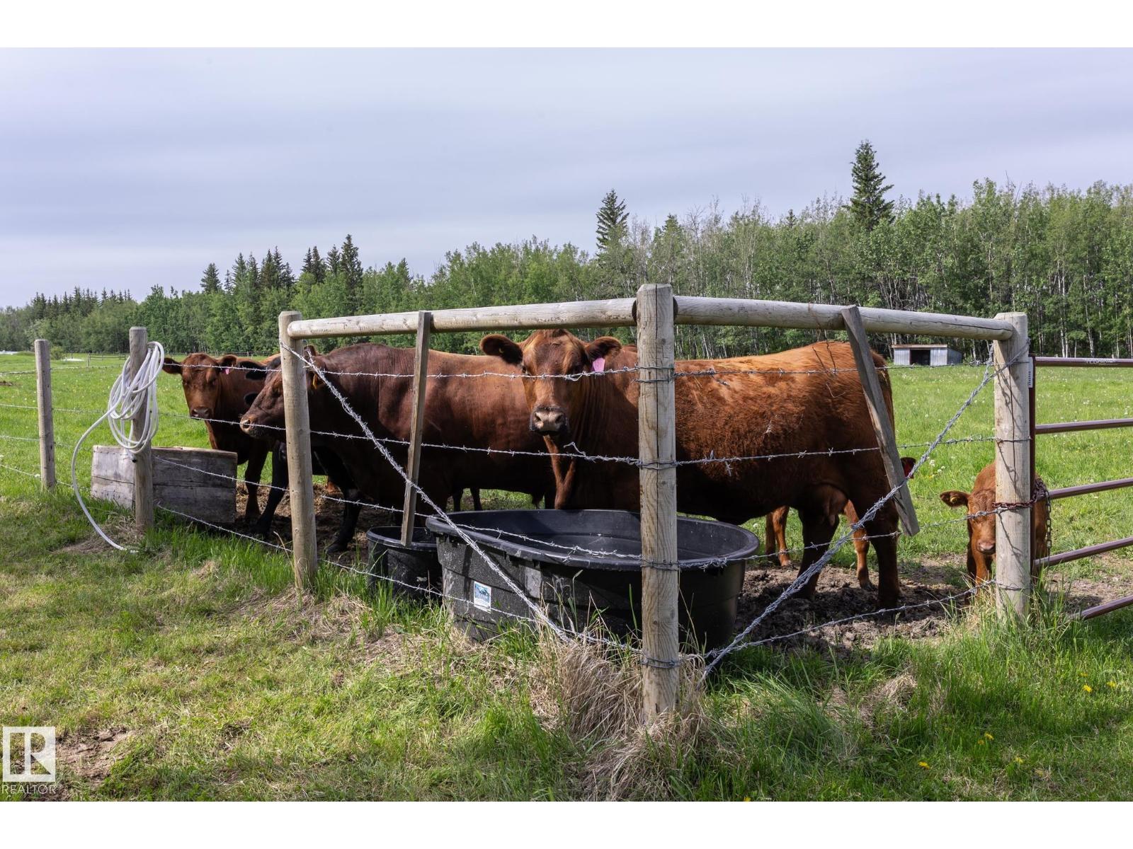 57511 Range 92 Rd, Rural Lac Ste. Anne County, Alberta T0E 1N0 - Photo 75 - E4494269