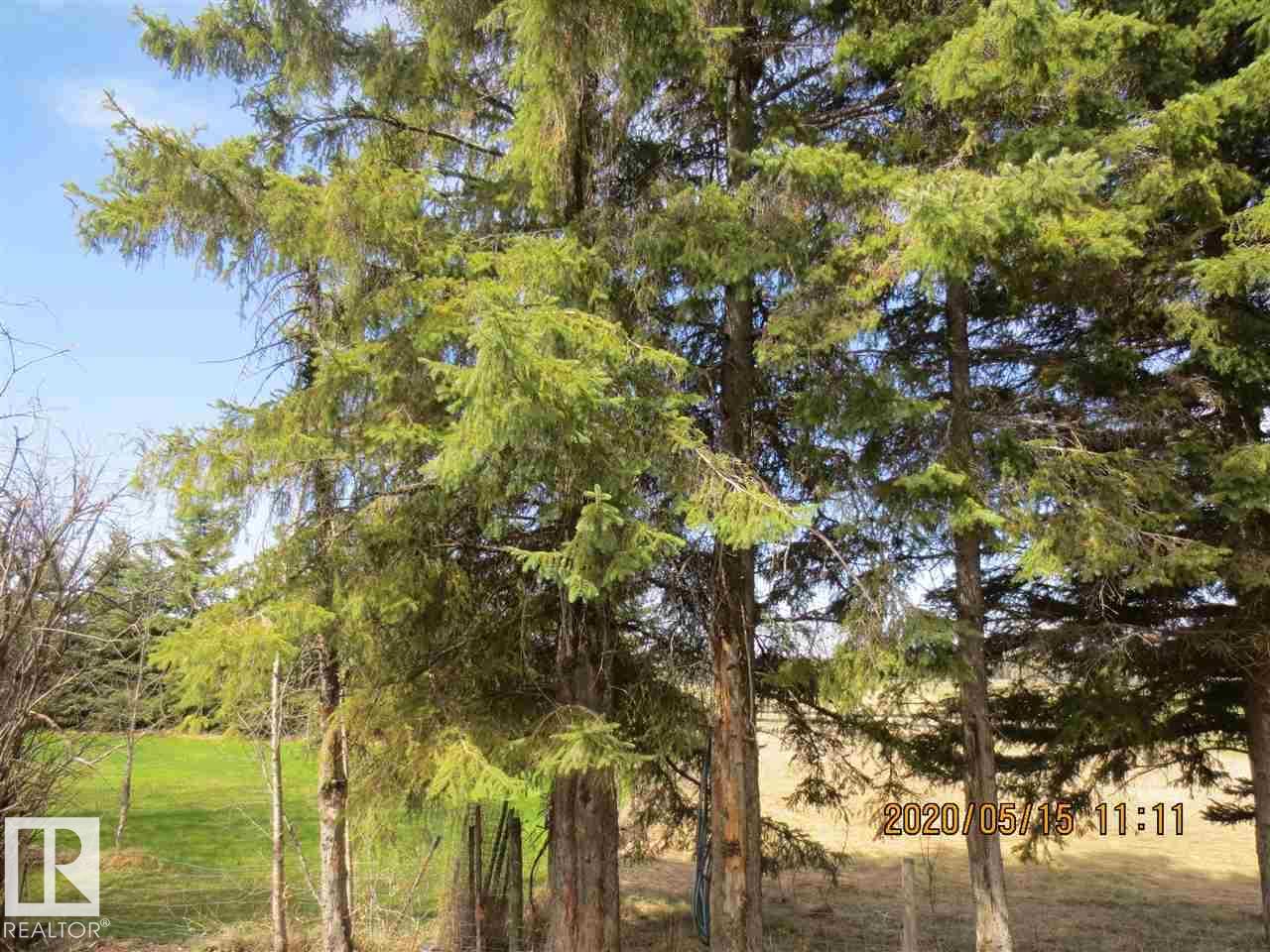 5040 50 St, Niton Junction, Alberta T0E 1S0 - Photo 8 - E4494908