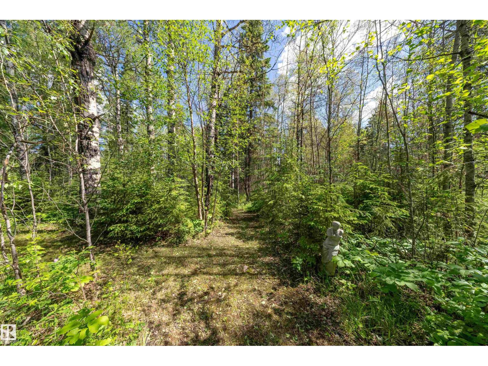 #117 453041 Hwy 771, Rural Wetaskiwin County, Alberta T0C 2V0 - Photo 42 - E4494990