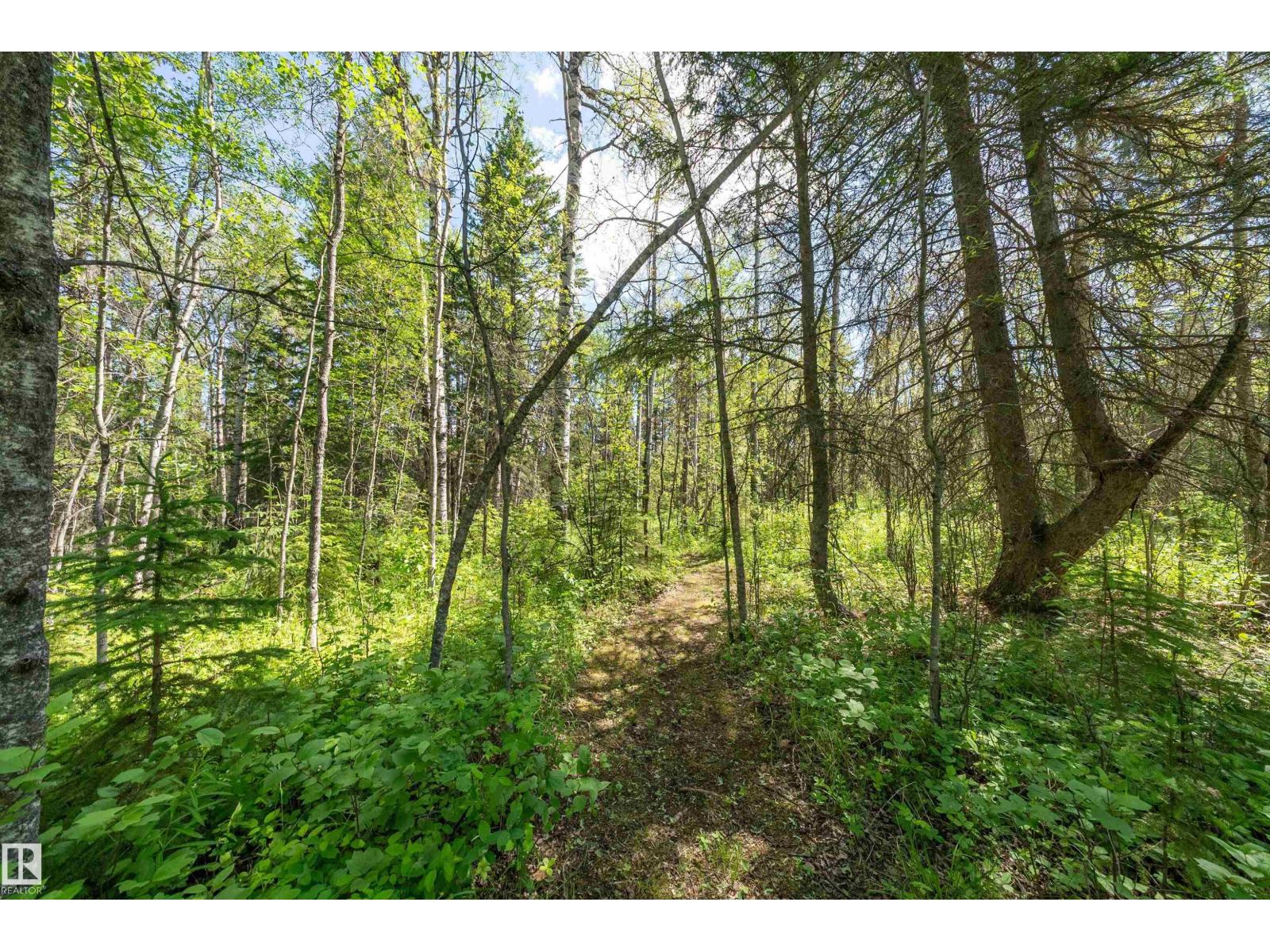 #117 453041 Hwy 771, Rural Wetaskiwin County, Alberta T0C 2V0 - Photo 43 - E4494990