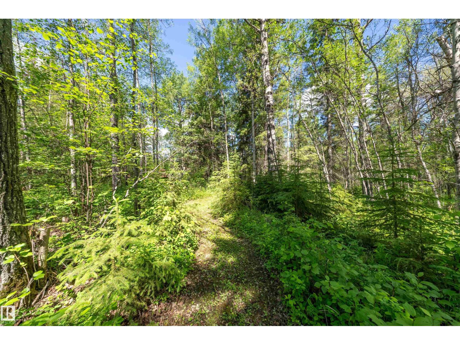 #117 453041 Hwy 771, Rural Wetaskiwin County, Alberta T0C 2V0 - Photo 44 - E4494990