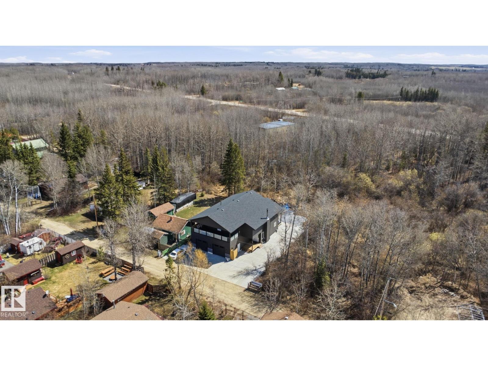 213 2 Av, Rural Wetaskiwin County, Alberta T0C 1X0 - Photo 36 - E4495139