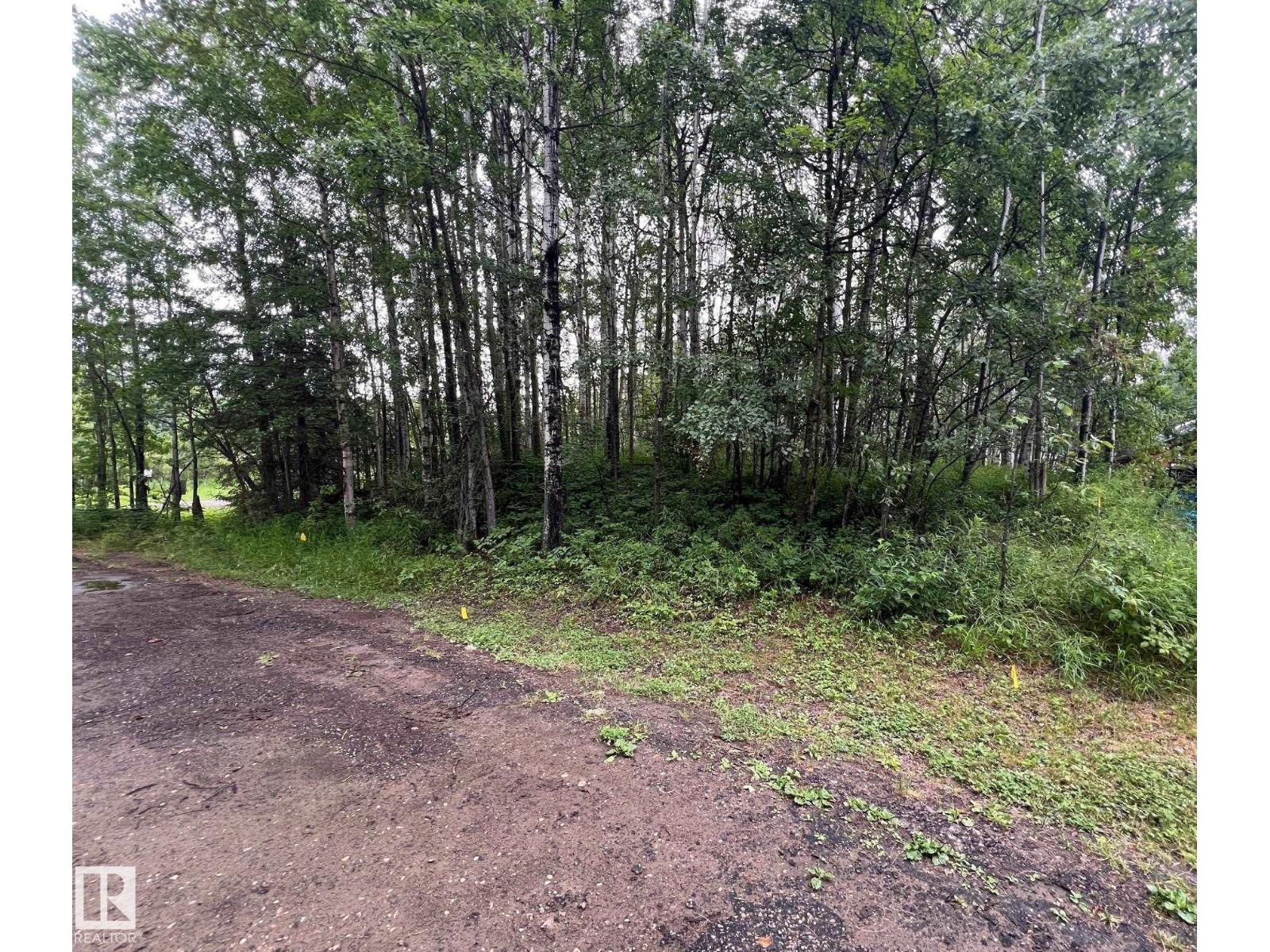 2130 2001 Twp Rd 474, Rural Leduc County, Alberta  T0C 2P0 - Photo 13 - E4495470