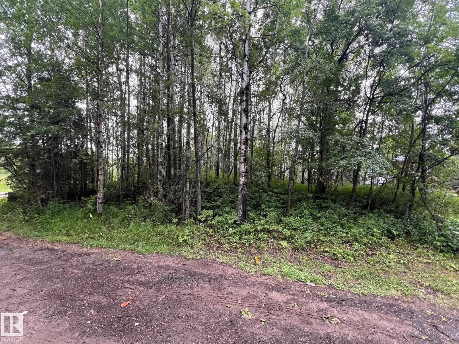 2130 2001 Twp Rd 474, Rural Leduc County, Alberta  T0C 2P0 - Photo 14 - E4495470
