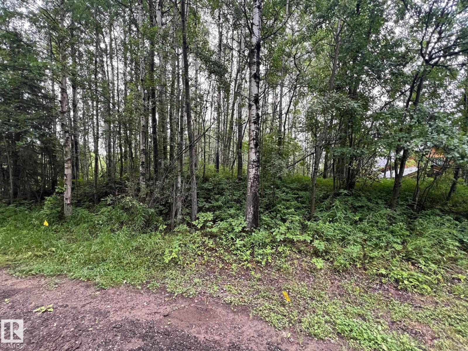 2130 2001 Twp Rd 474, Rural Leduc County, Alberta  T0C 2P0 - Photo 19 - E4495470