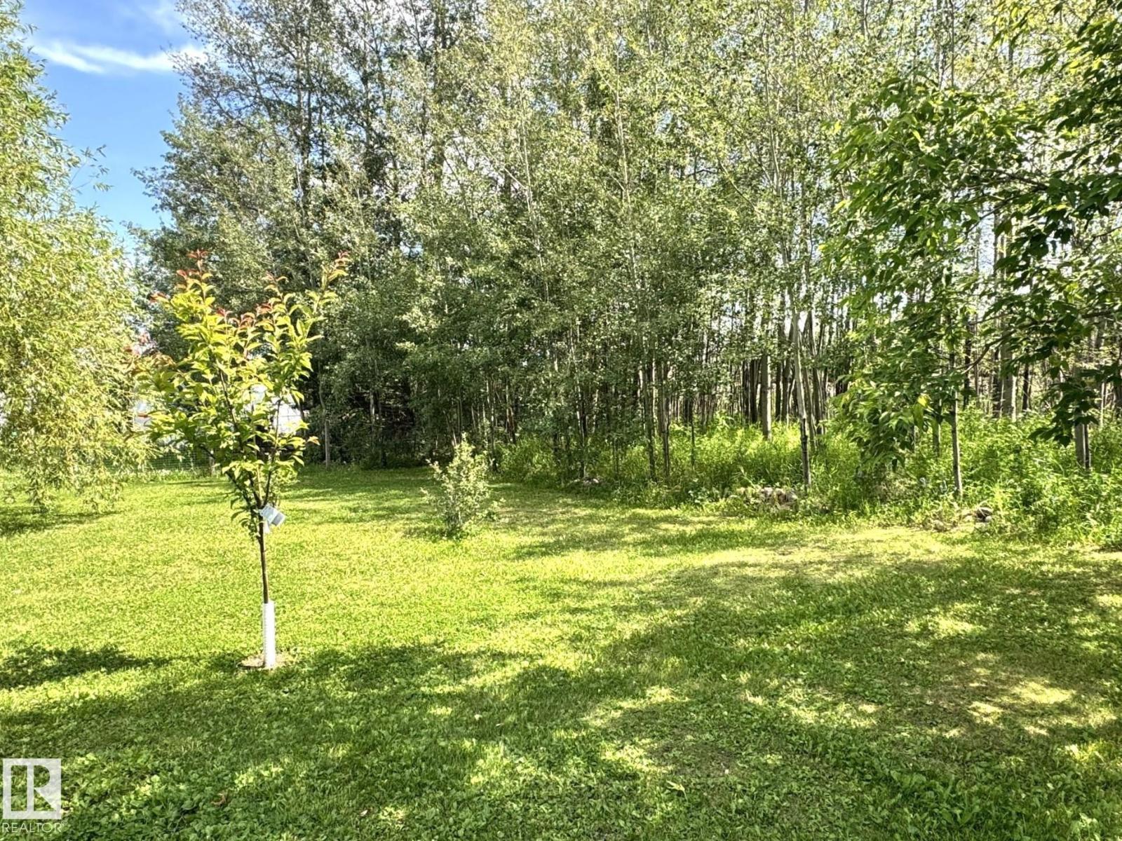 4707 54 Av, Wildwood, Alberta T0E 2M0 - Photo 65 - E4495473