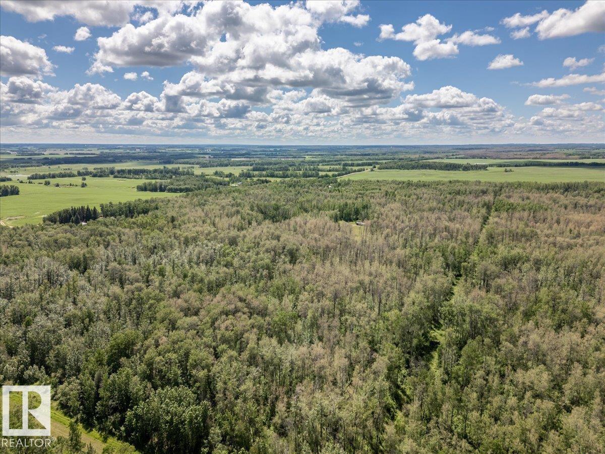 475022 Rge Road 272, Rural Wetaskiwin County, Alberta  T0C 0V0 - Photo 11 - E4495499