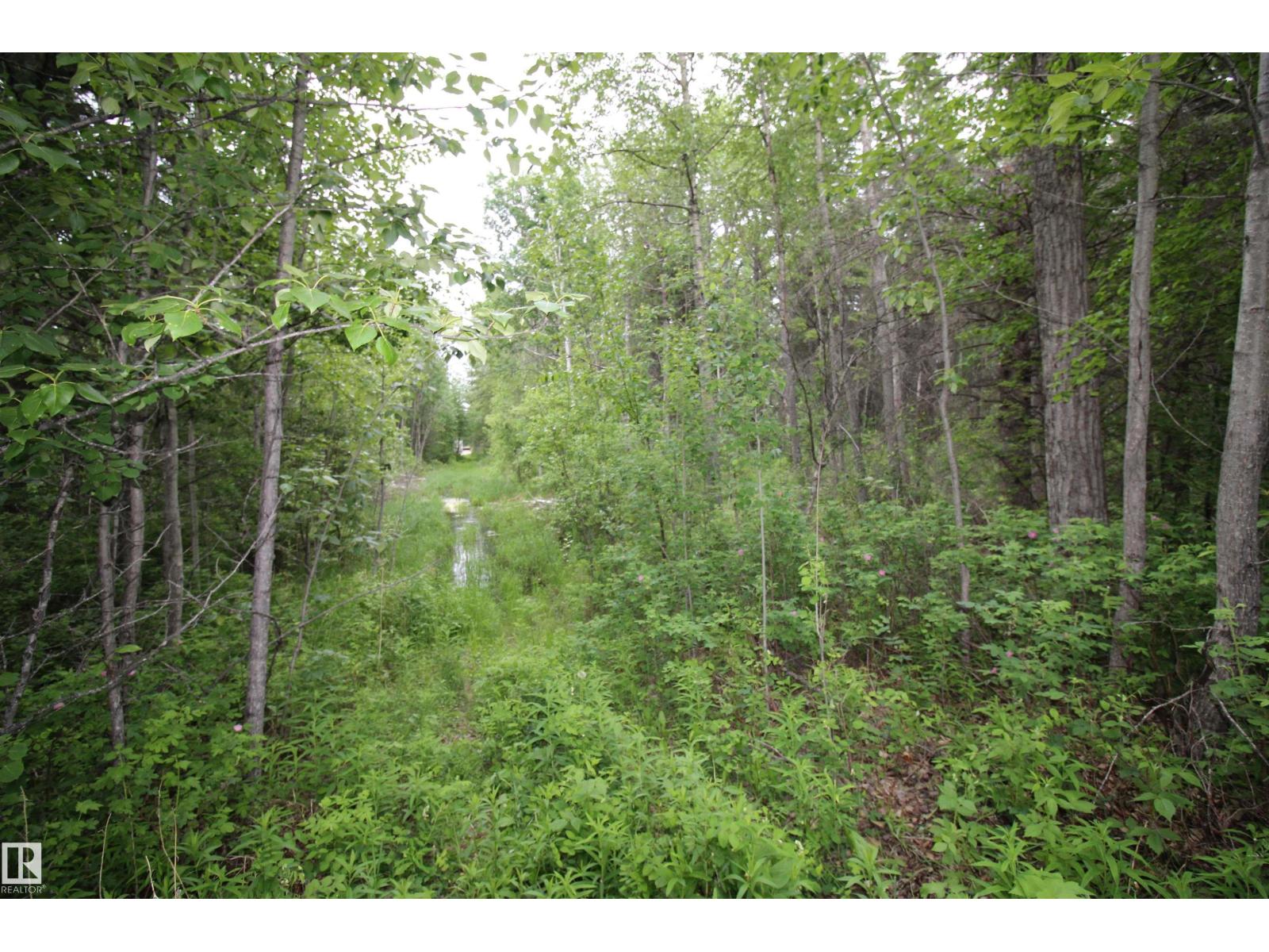 #205 55530 Rge Road 52, Rural Lac Ste. Anne County, Alberta  T0E 2A0 - Photo 16 - E4495885