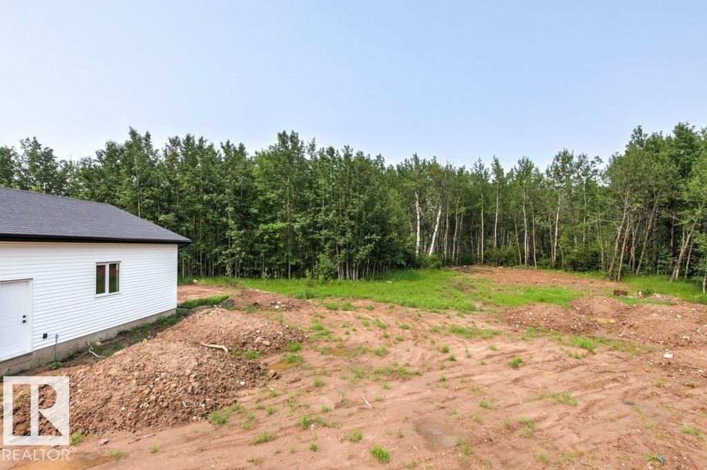 #55 54013 Rge Road 30, Rural Lac Ste. Anne County, Alberta T0E 1V0 - Photo 49 - E4496437