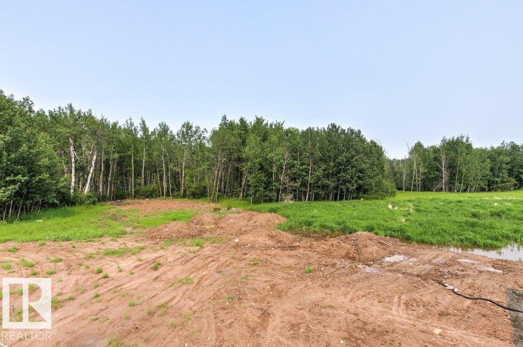 #55 54013 Rge Road 30, Rural Lac Ste. Anne County, Alberta T0E 1V0 - Photo 50 - E4496437