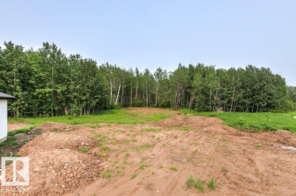 #55 54013 Rge Road 30, Rural Lac Ste. Anne County, Alberta T0E 1V0 - Photo 65 - E4496437
