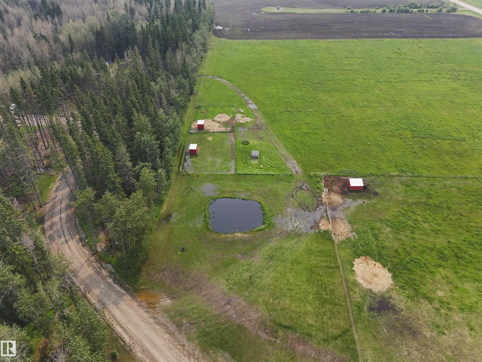 50125 Rge Road 71, Rural Brazeau County, Alberta T0E 1Z0 - Photo 14 - E4496547