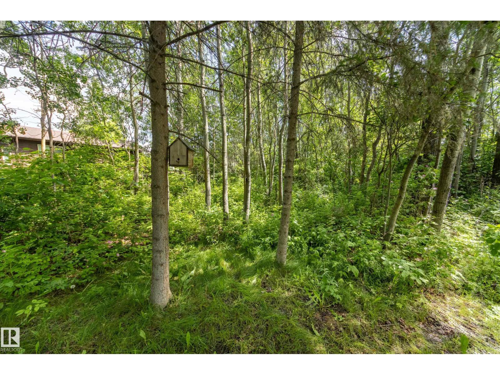 812 3003 Twp Rd 574, Rural Barrhead County, Alberta T0E 1A0 - Photo 23 - E4496990
