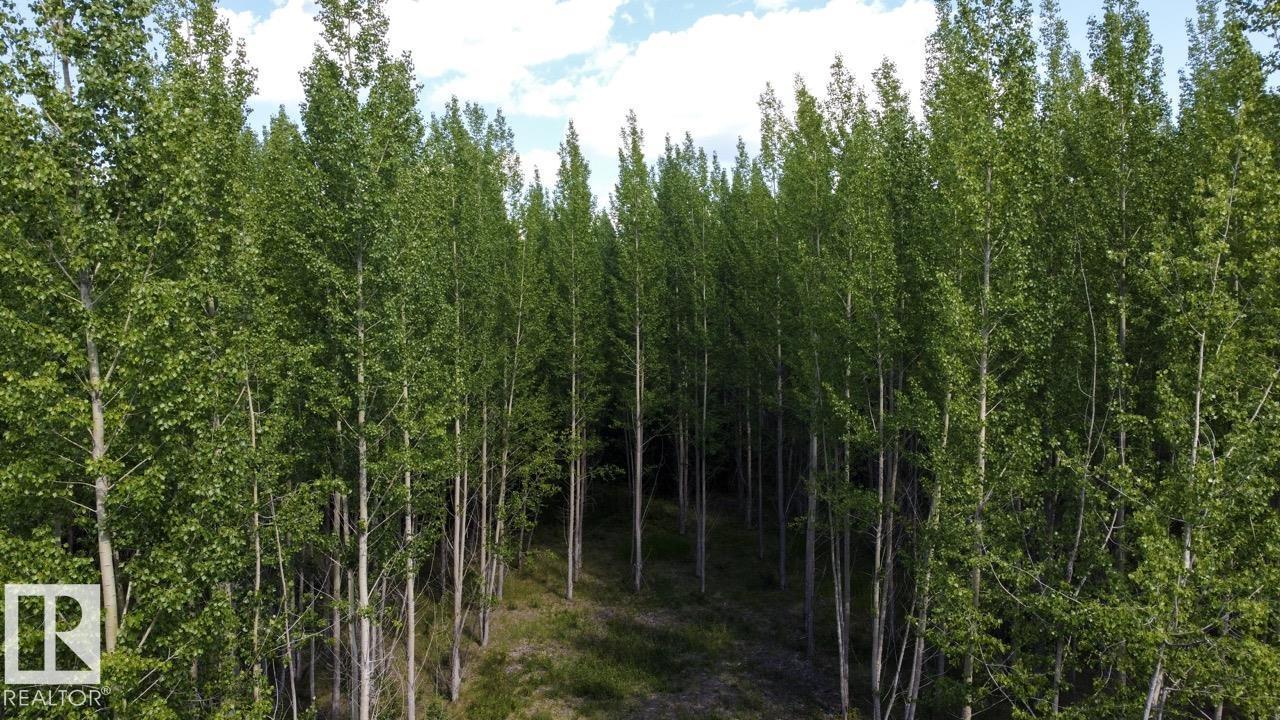 Rge Rd 24 Twp Rd 562, Rural Lac Ste. Anne County, Alberta T0E 1A0 - Photo 10 - E4497039