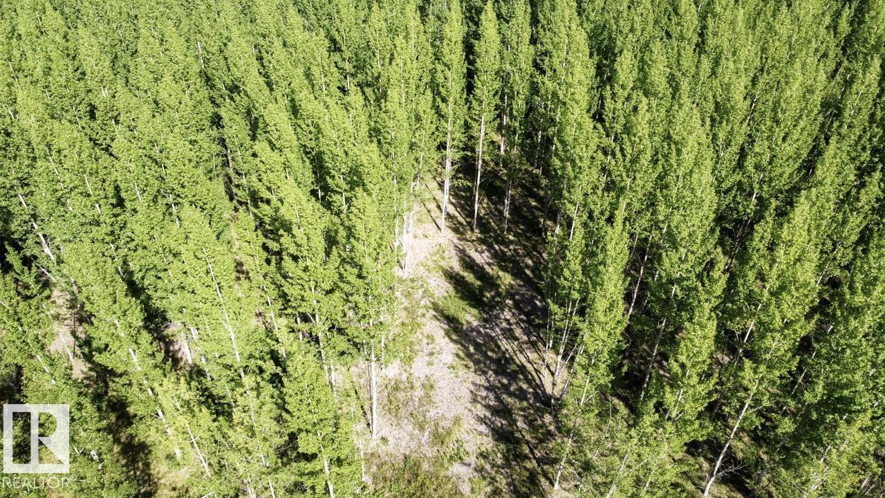 Rge Rd 24 Twp Rd 562, Rural Lac Ste. Anne County, Alberta T0E 1A0 - Photo 13 - E4497039