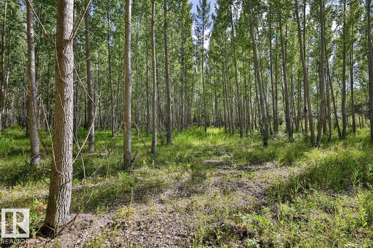 Rge Rd 24 Twp Rd 562, Rural Lac Ste. Anne County, Alberta T0E 1A0 - Photo 2 - E4497039