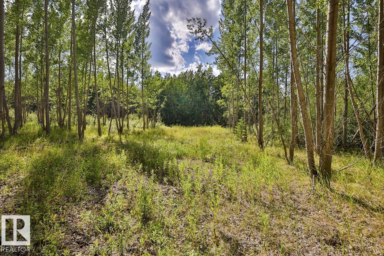 Rge Rd 24 Twp Rd 562, Rural Lac Ste. Anne County, Alberta T0E 1A0 - Photo 4 - E4497039