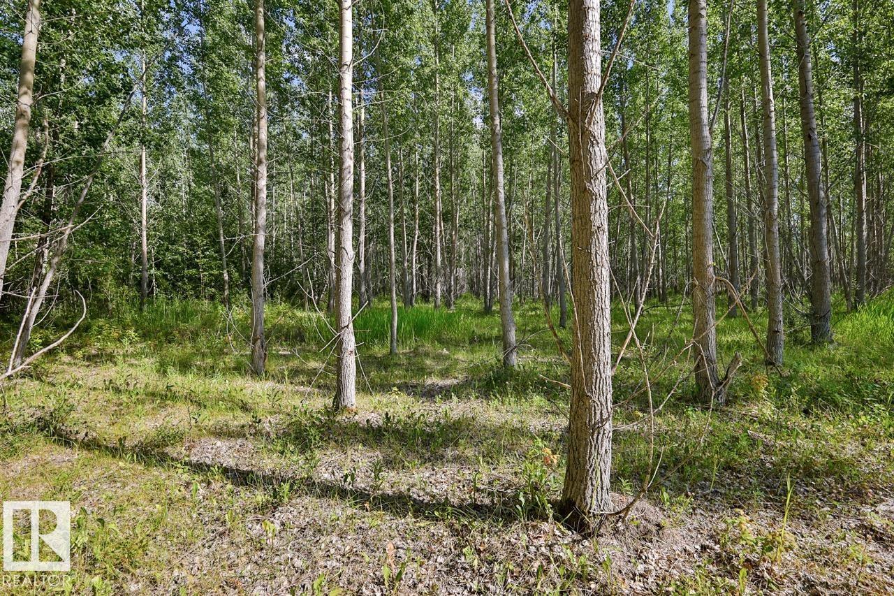 Rge Rd 24 Twp Rd 562, Rural Lac Ste. Anne County, Alberta T0E 1A0 - Photo 7 - E4497039