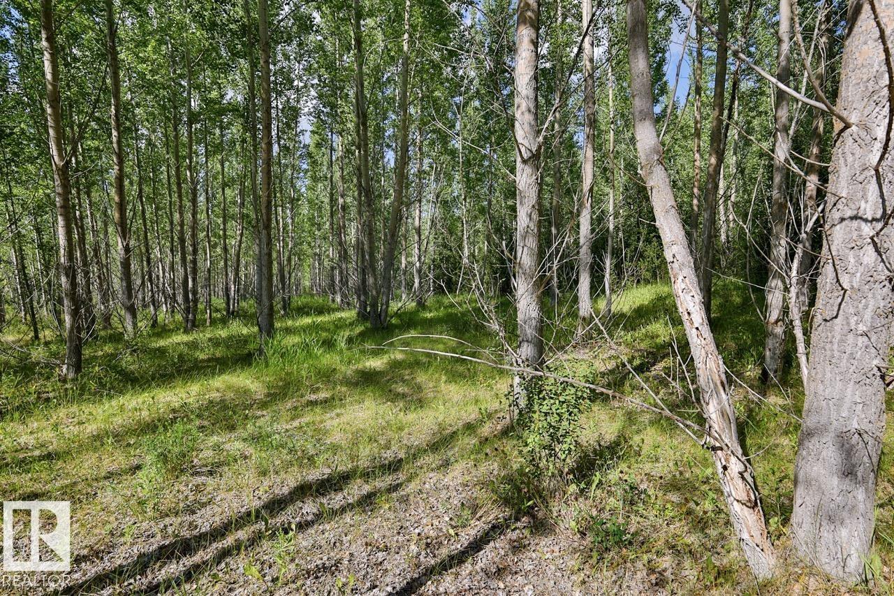 Rge Rd 24 Twp Rd 562, Rural Lac Ste. Anne County, Alberta T0E 1A0 - Photo 8 - E4497039