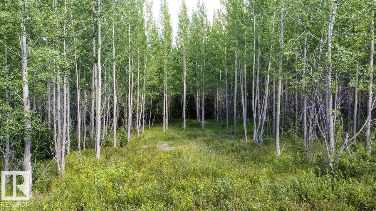 Rge Rd 24 Twp Rd 562, Rural Lac Ste. Anne County, Alberta T0E 1A0 - Photo 9 - E4497039