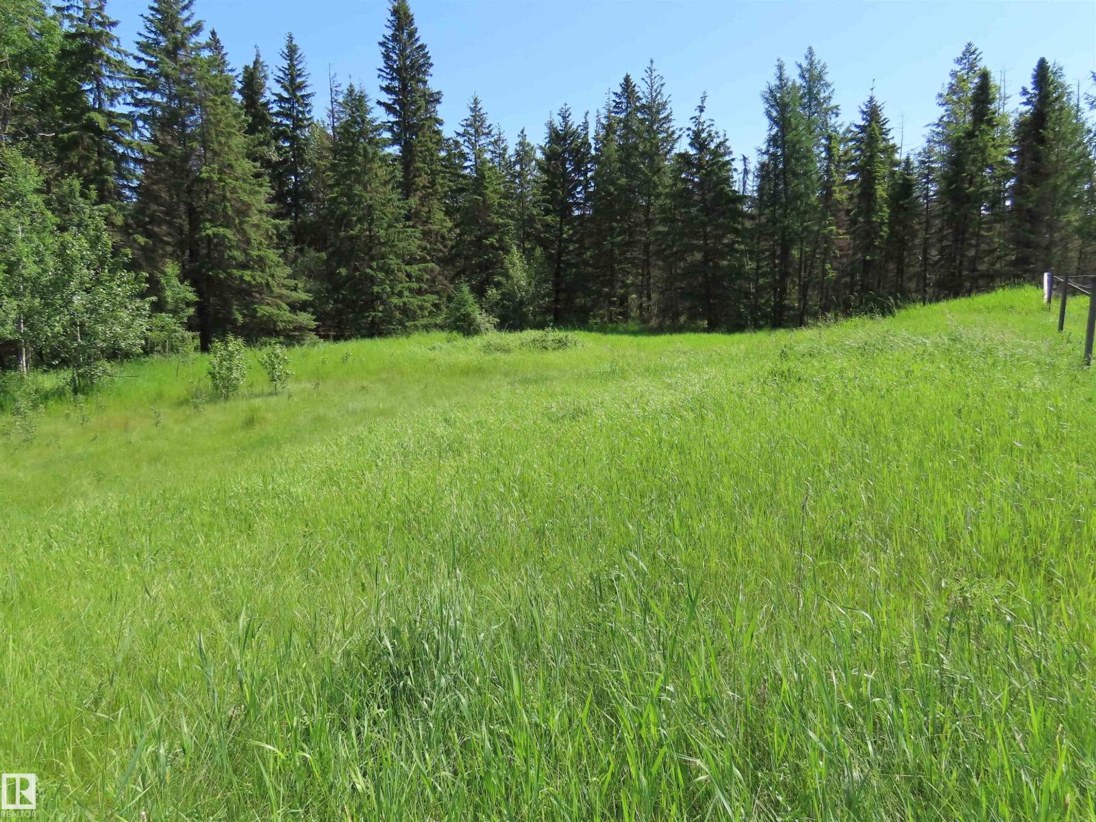 55421 Rge Road 31, Rural Lac Ste. Anne County, Alberta T0E 1V0 - Photo 11 - E4497488