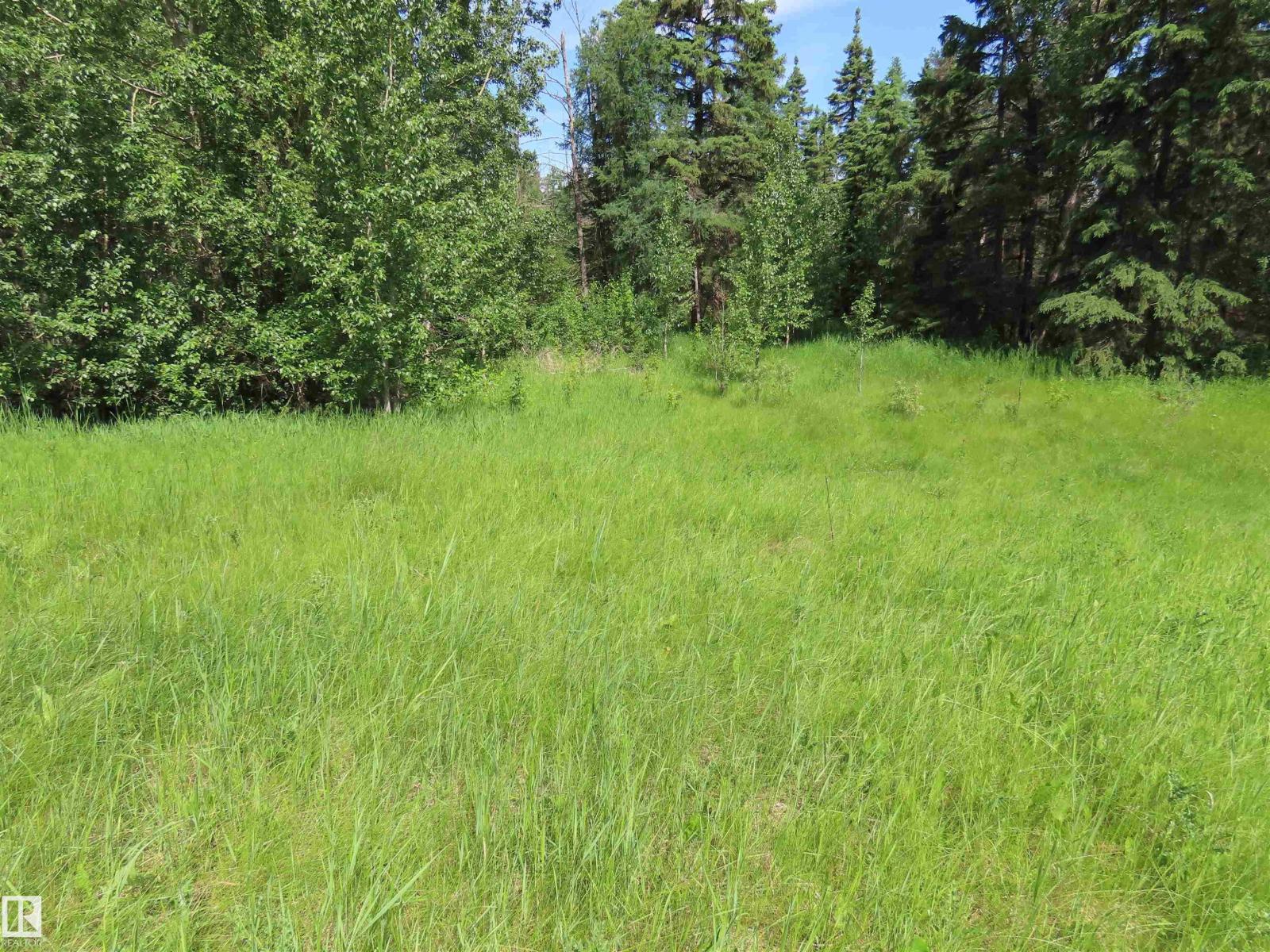 55421 Rge Road 31, Rural Lac Ste. Anne County, Alberta T0E 1V0 - Photo 12 - E4497488