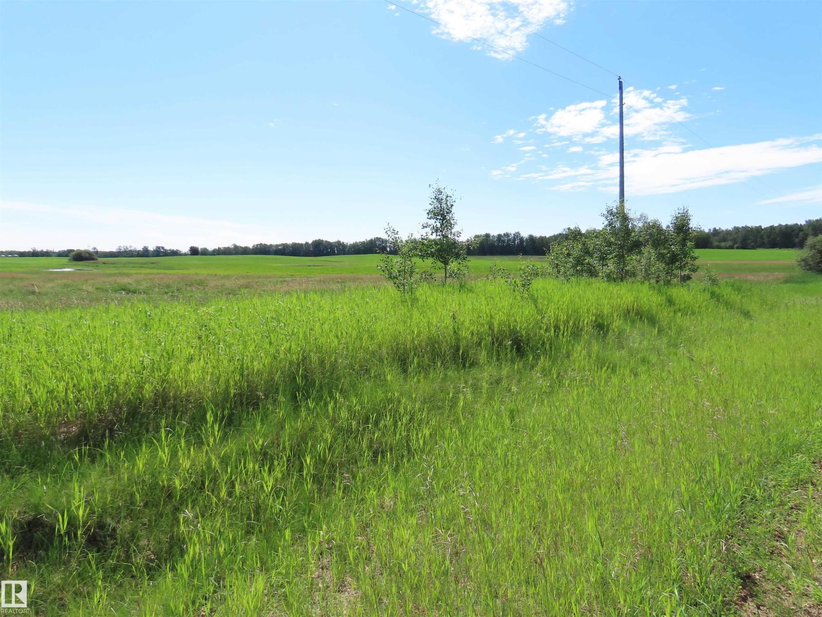 55421 Rge Road 31, Rural Lac Ste. Anne County, Alberta T0E 1V0 - Photo 4 - E4497488