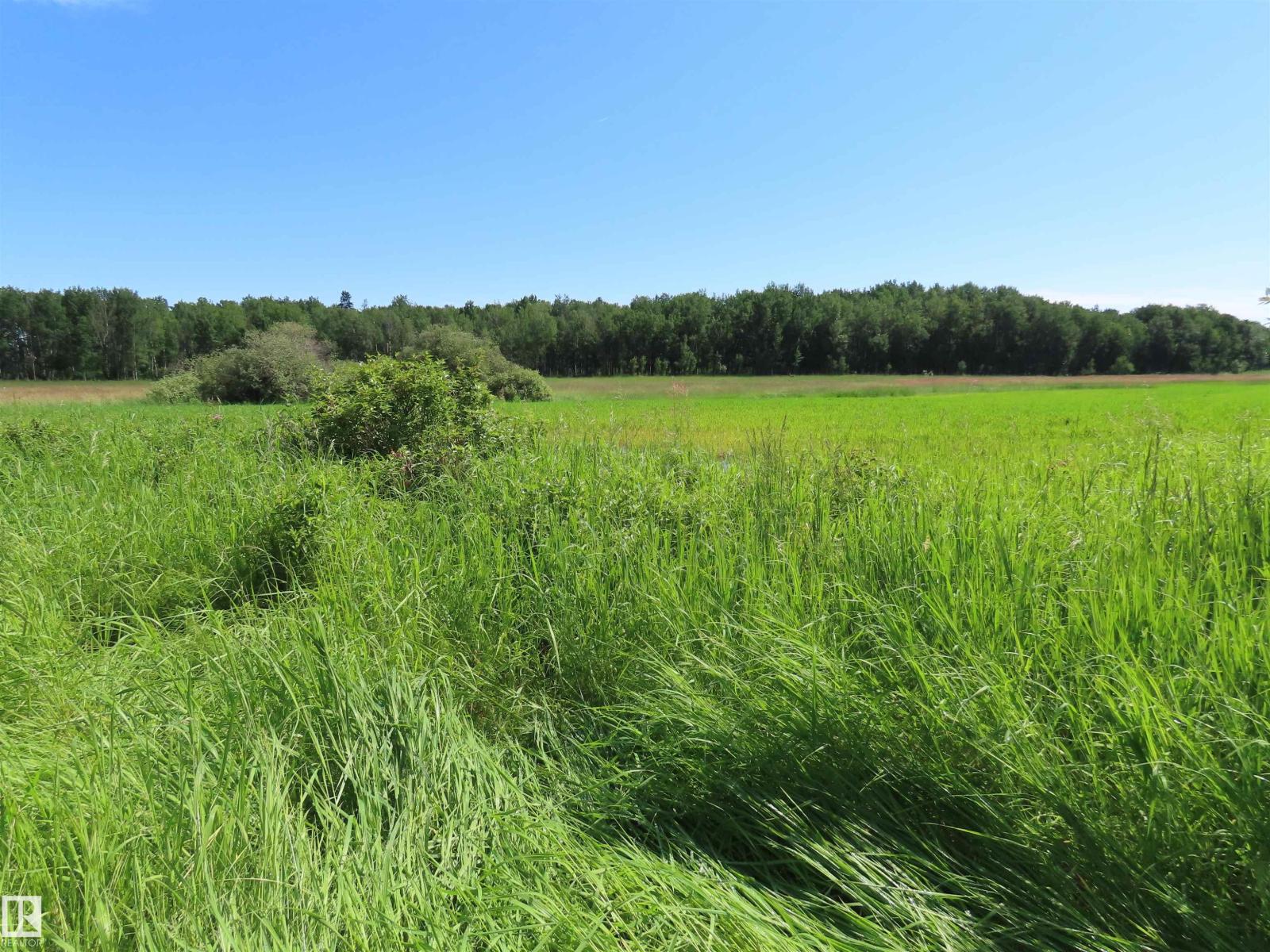 55421 Rge Road 31, Rural Lac Ste. Anne County, Alberta T0E 1V0 - Photo 7 - E4497488
