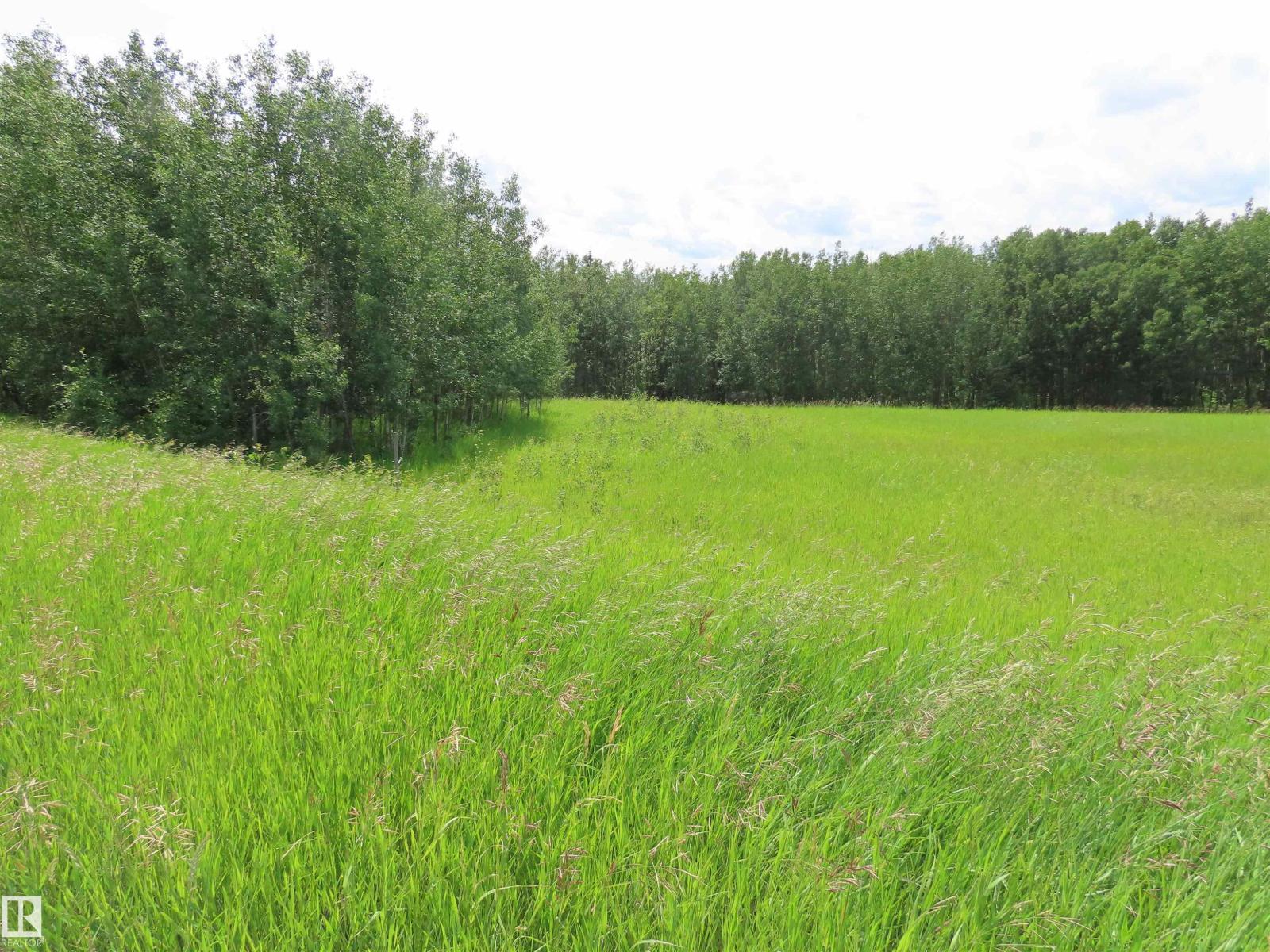 7227 Twp Road 560, Rural Lac Ste. Anne County, Alberta T0E 2A0 - Photo 12 - E4497612