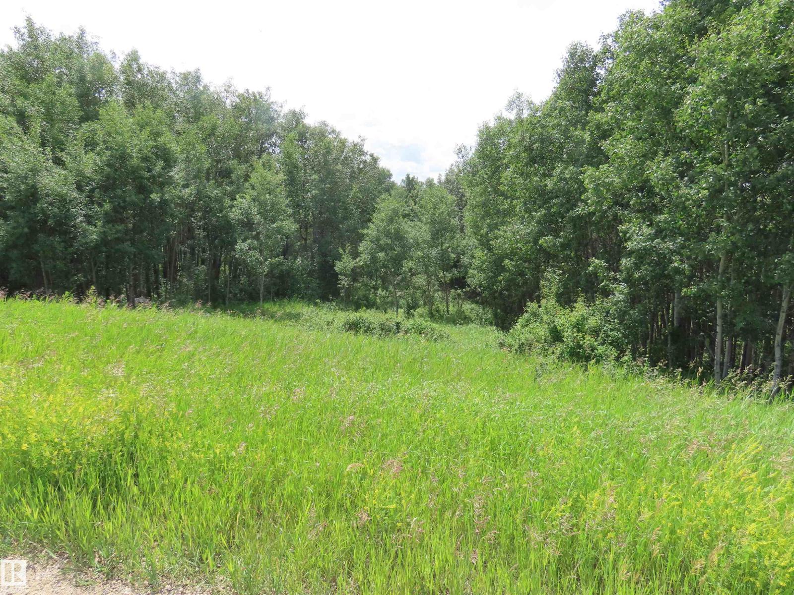 7227 Twp Road 560, Rural Lac Ste. Anne County, Alberta T0E 2A0 - Photo 7 - E4497612