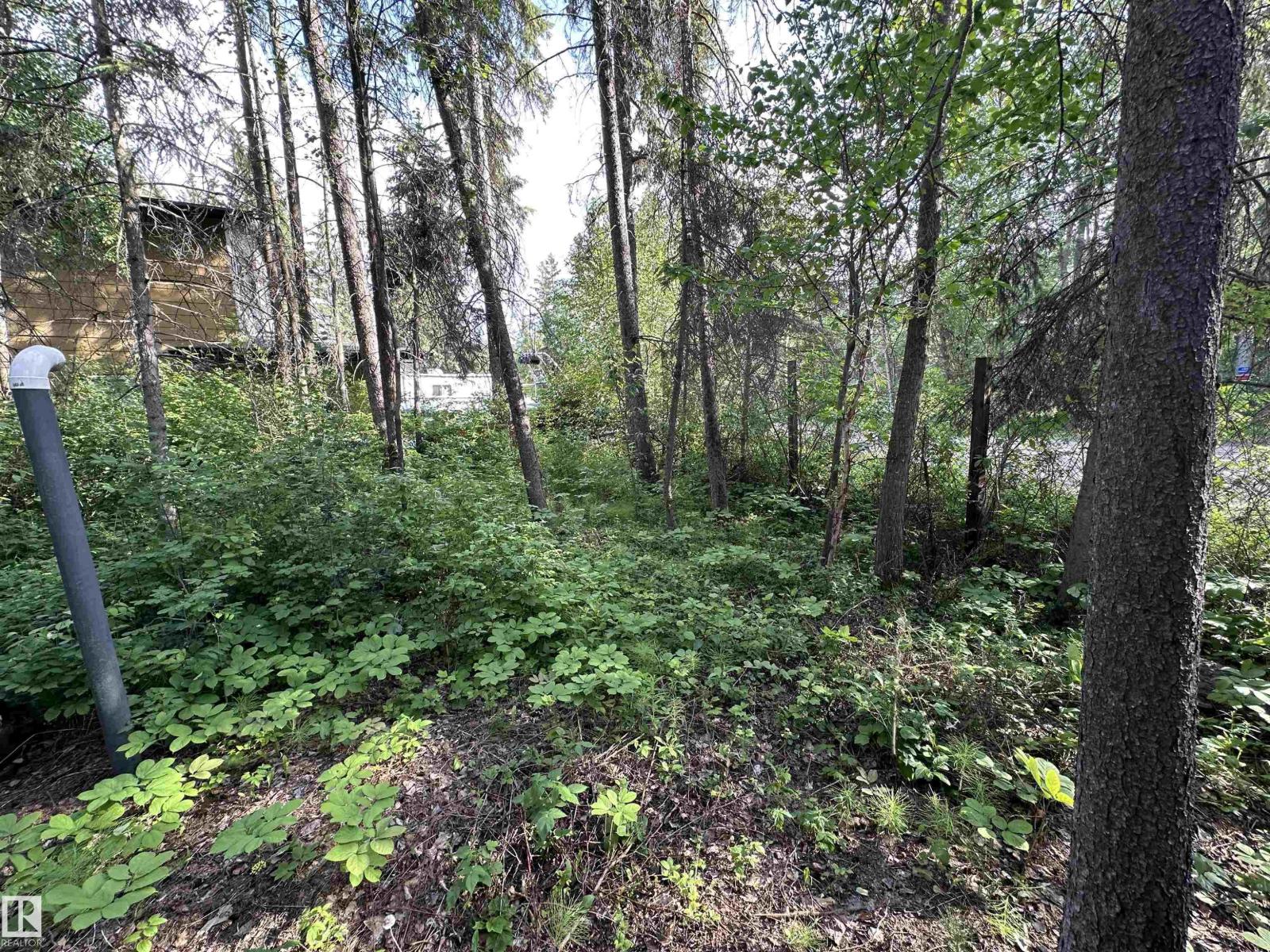 4307 Spruce Pt, Rural Lac Ste. Anne County, Alberta T0E 1V0 - Photo 55 - E4497866