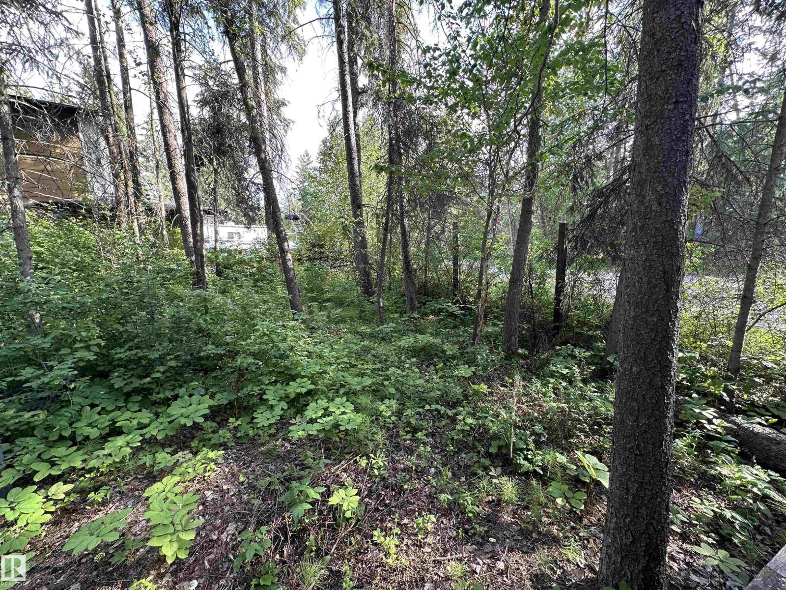 4307 Spruce Pt, Rural Lac Ste. Anne County, Alberta T0E 1V0 - Photo 56 - E4497866