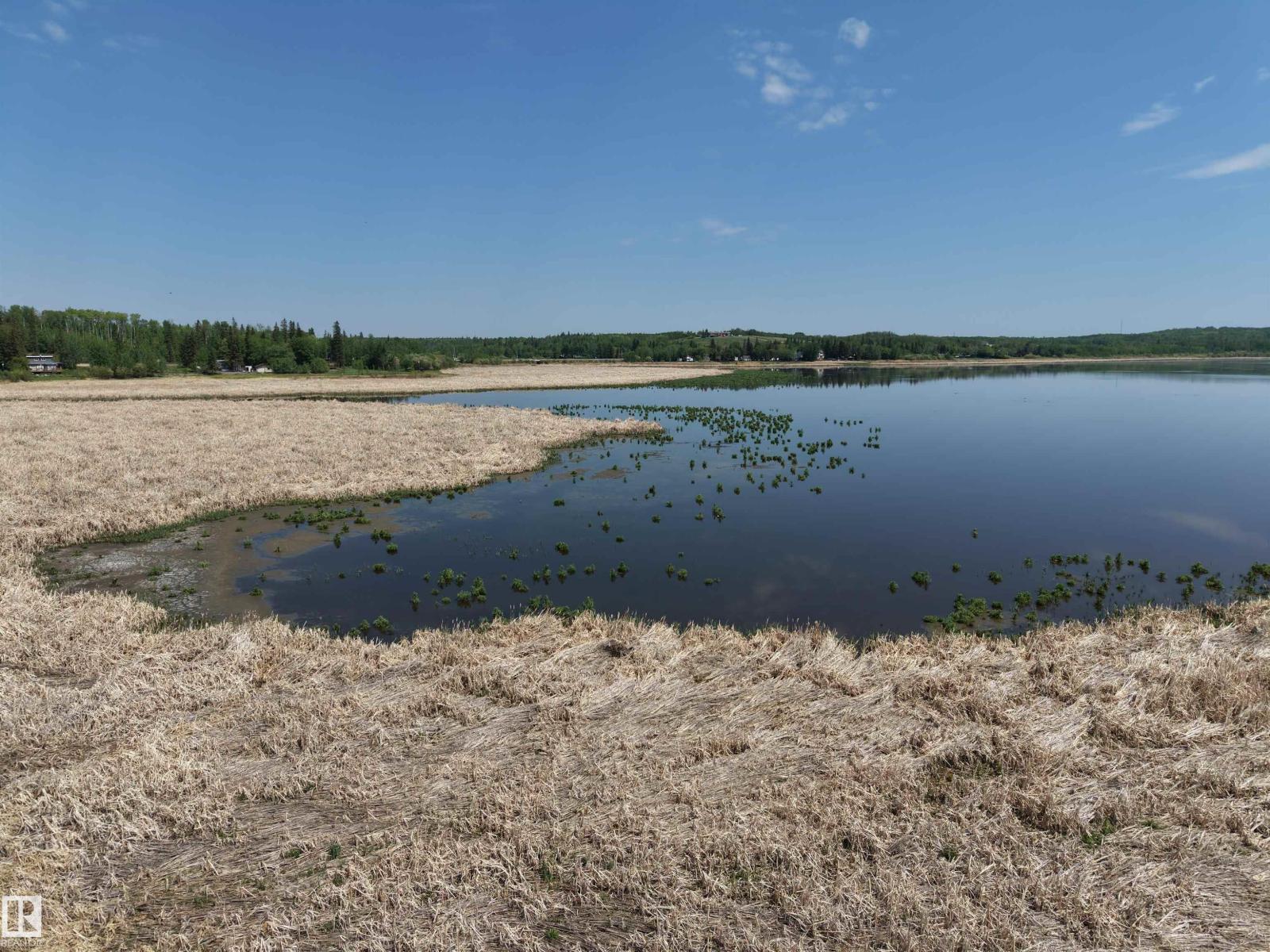4307 Spruce Pt, Rural Lac Ste. Anne County, Alberta T0E 1V0 - Photo 67 - E4497866