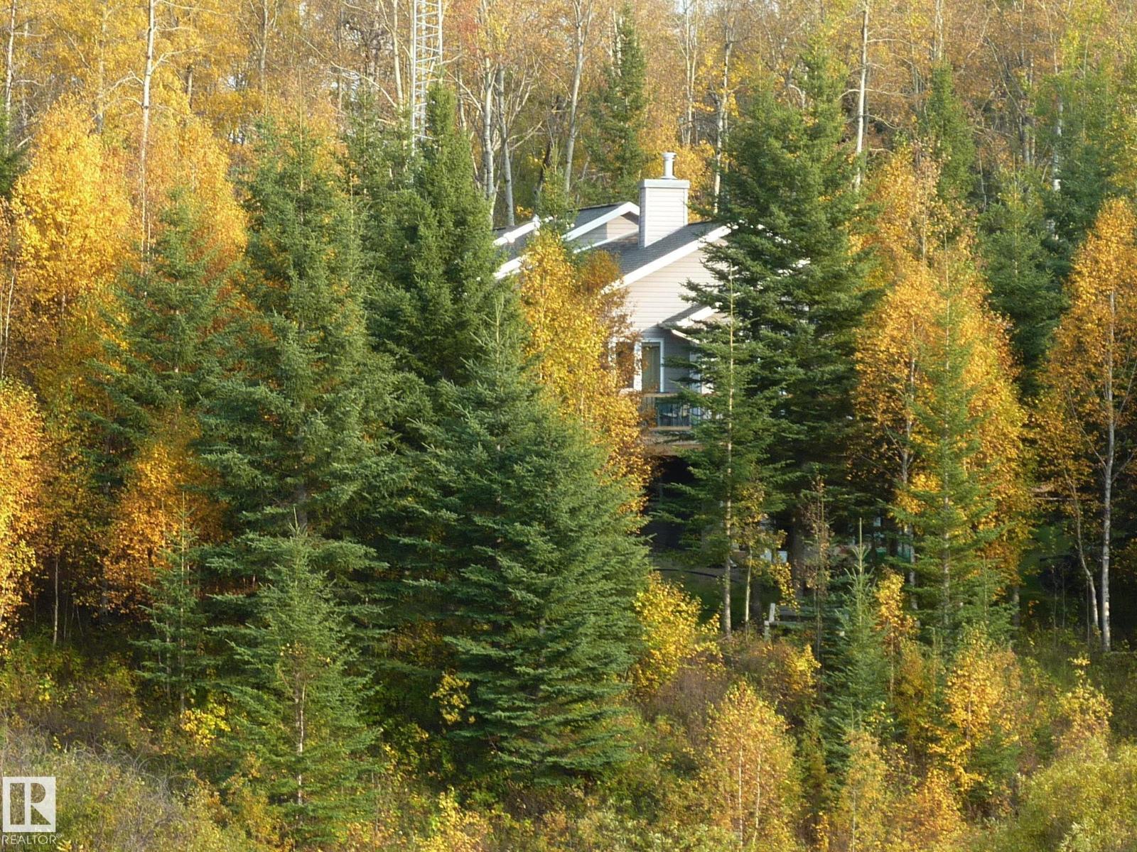8316 Hwy 16a, Rural Yellowhead, Alberta T0E 0T0 - Photo 69 - E4497878