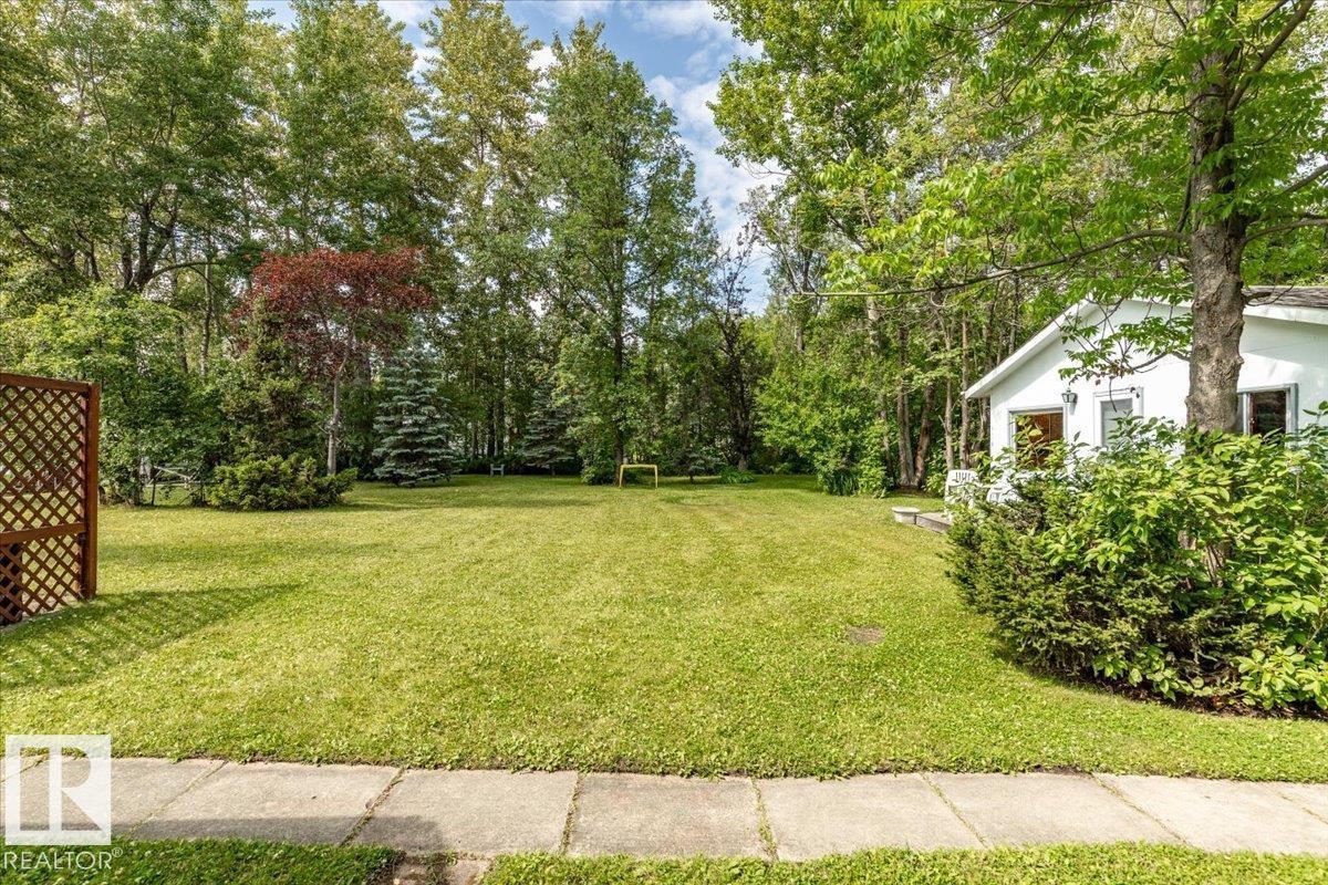 59 Beach Ave, Rural Leduc County, Alberta T0C 2C0 - Photo 42 - E4498167