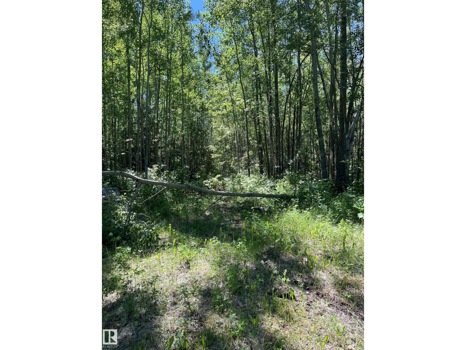 #26 54104 Rge Rd 35, Rural Lac Ste. Anne County, Alberta T0E 0A1 - Photo 11 - E4498203