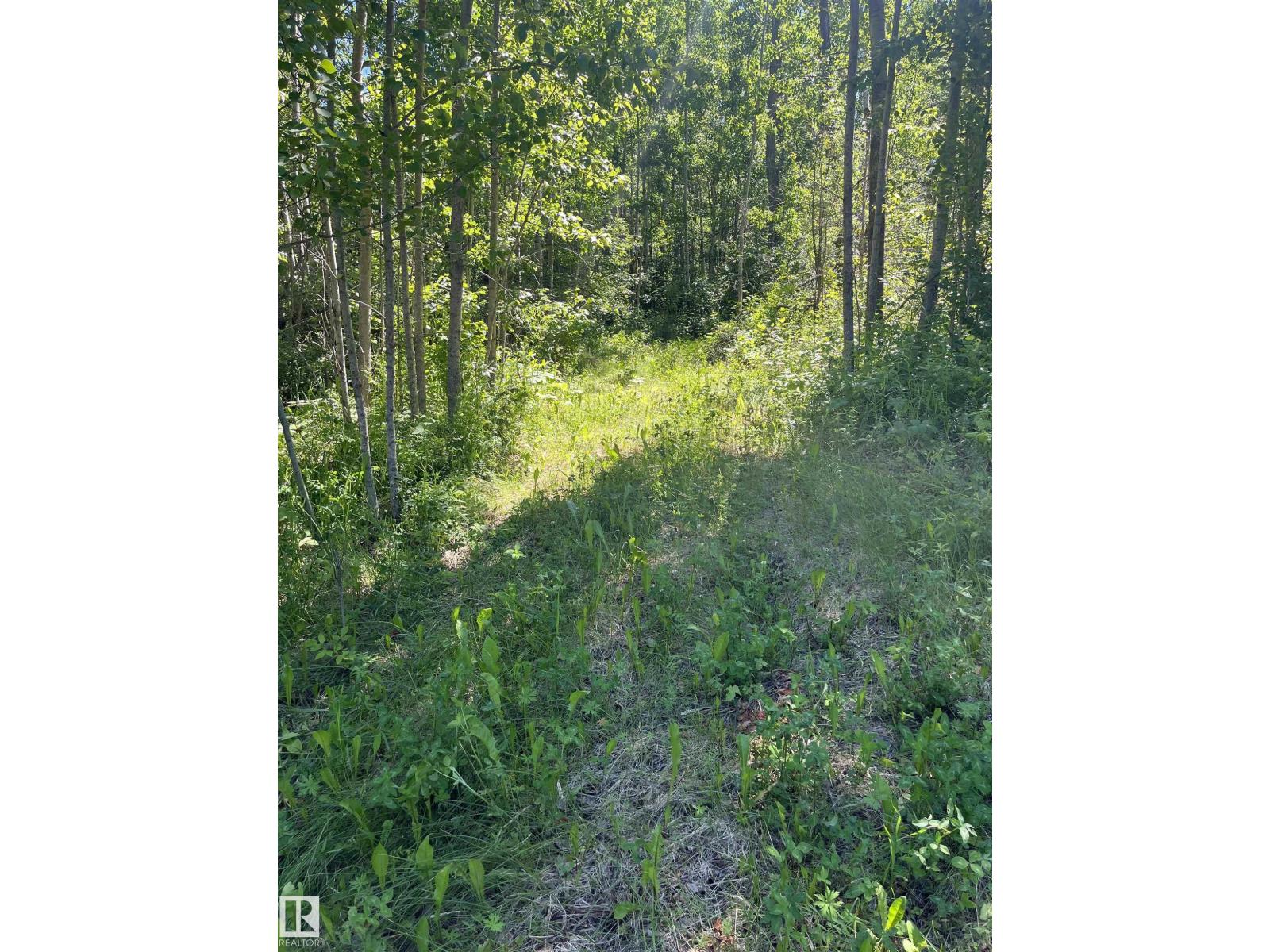 #26 54104 Rge Rd 35, Rural Lac Ste. Anne County, Alberta T0E 0A1 - Photo 12 - E4498203