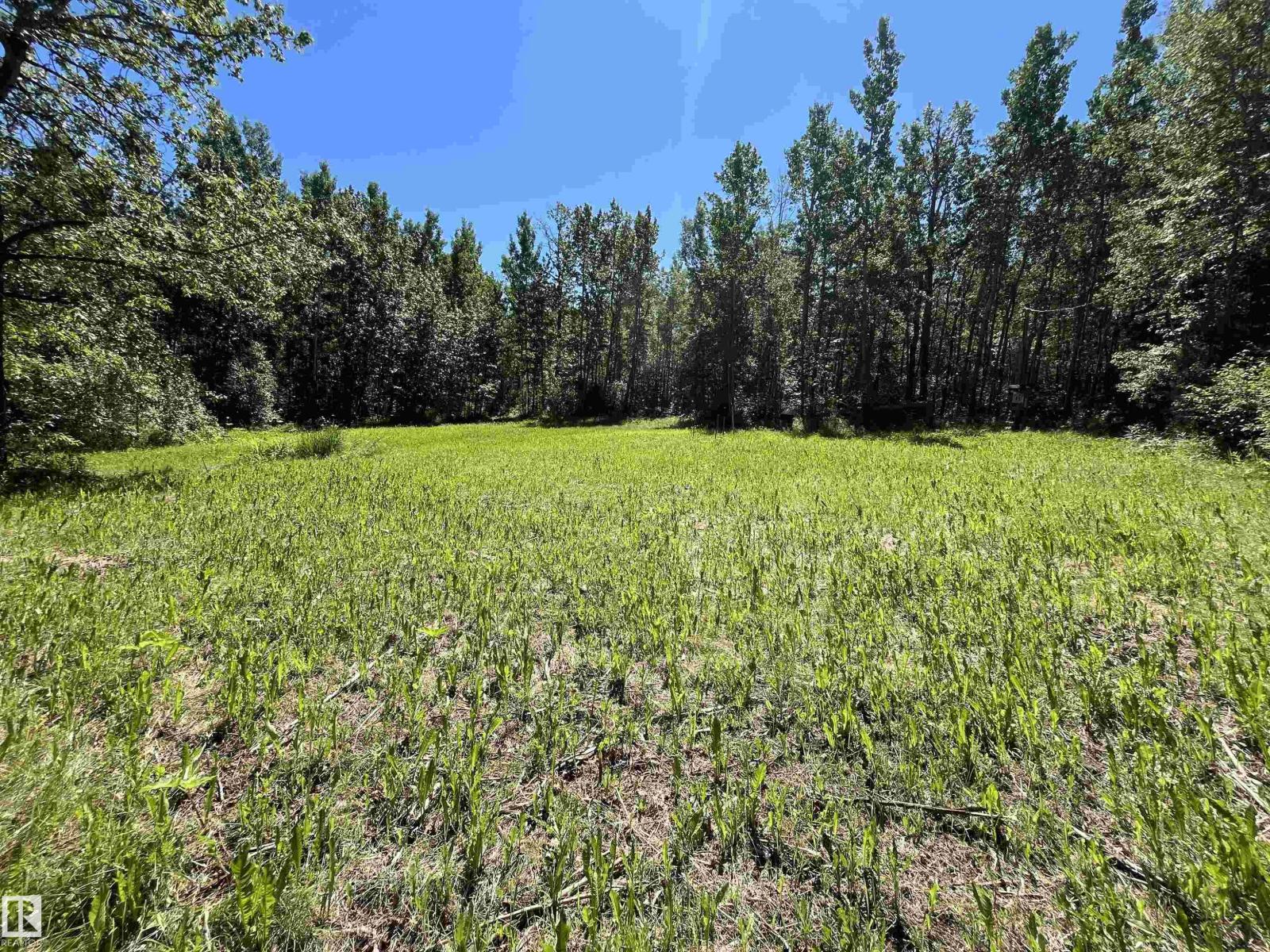 #26 54104 Rge Rd 35, Rural Lac Ste. Anne County, Alberta T0E 0A1 - Photo 5 - E4498203