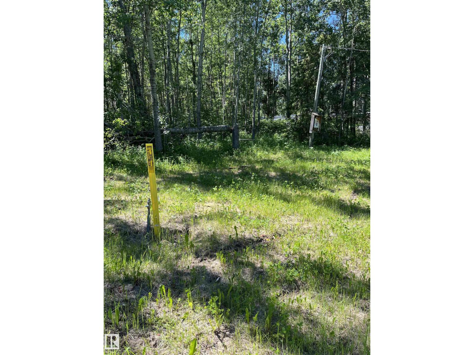 #26 54104 Rge Rd 35, Rural Lac Ste. Anne County, Alberta T0E 0A1 - Photo 7 - E4498203