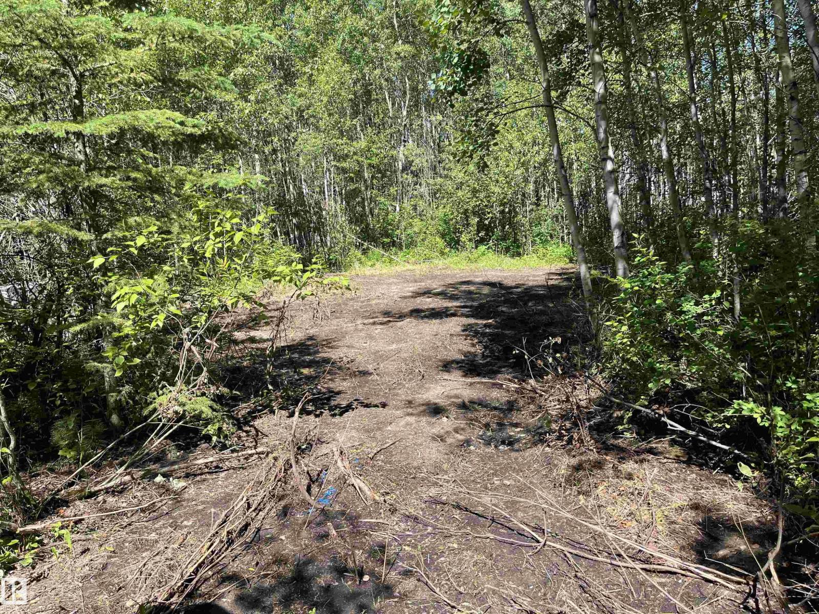 #39 53407 Rge Road 30, Rural Parkland County, Alberta T0E 1V0 - Photo 5 - E4498205