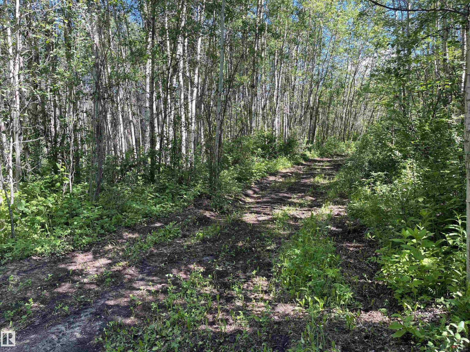 #39 53407 Rge Road 30, Rural Parkland County, Alberta T0E 1V0 - Photo 6 - E4498205