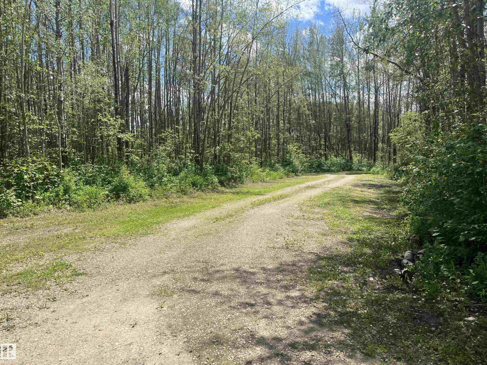 52110 Rge Rd 72, Rural Parkland County, Alberta T0E 0S0 - Photo 6 - E4498531