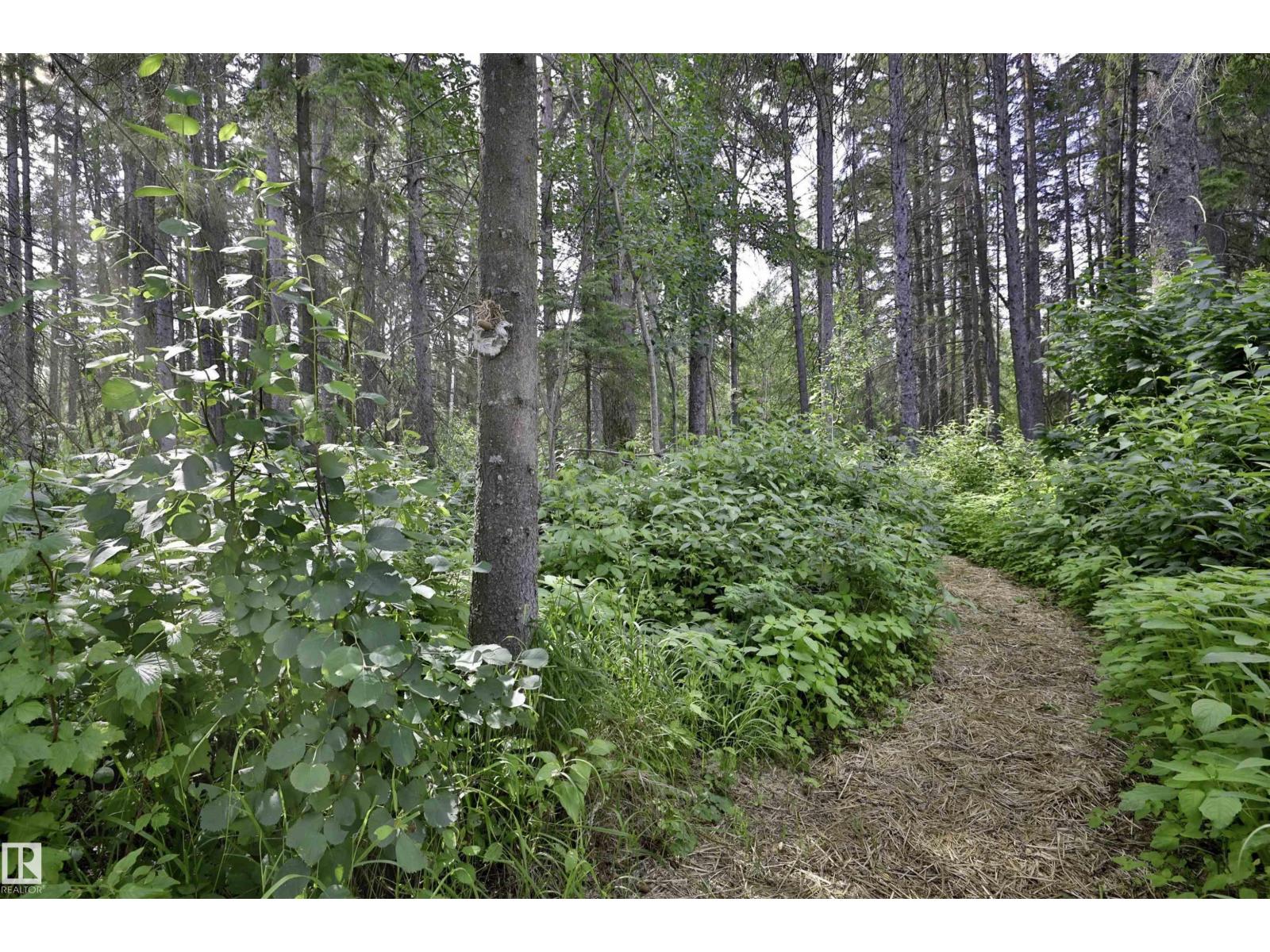 6801 51 St, Rural Wetaskiwin County, Alberta T0C 2C0 - Photo 13 - E4498613