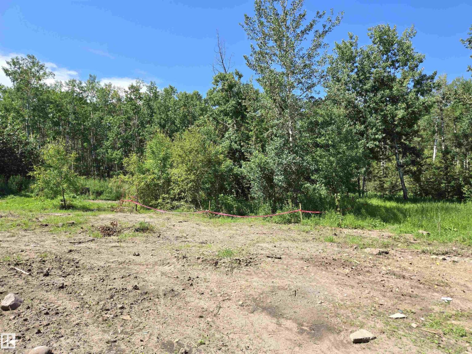 54516 Rge Road 41, Rural Lac Ste. Anne County, Alberta T0E 0L0 - Photo 3 - E4498926