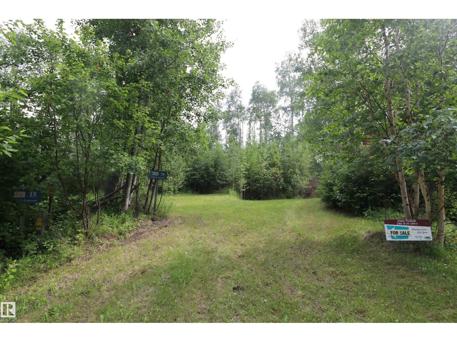 16 Hillside Cr, Rural Lac Ste. Anne County, Alberta T0E 1V0 - Photo 2 - E4499203