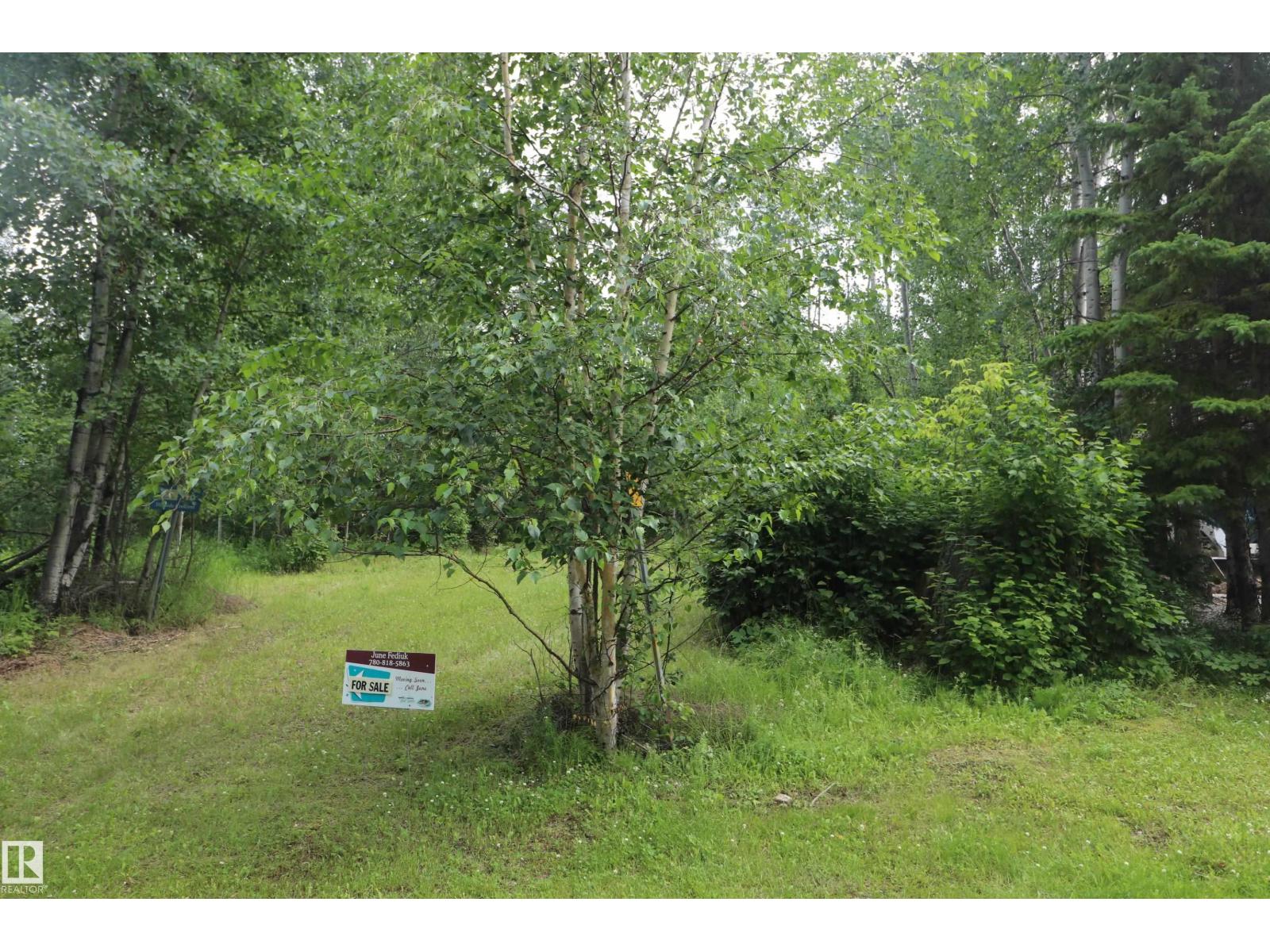 16 Hillside Cr, Rural Lac Ste. Anne County, Alberta T0E 1V0 - Photo 3 - E4499203