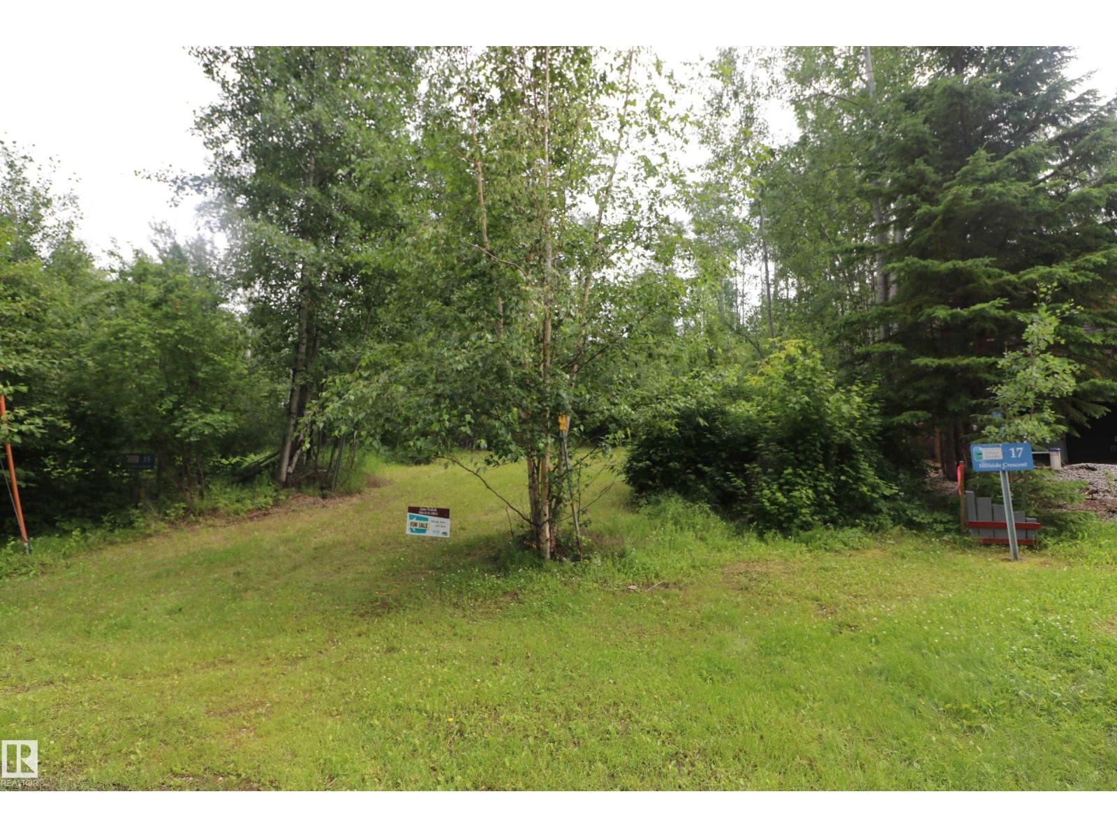 16 Hillside Cr, Rural Lac Ste. Anne County, Alberta T0E 1V0 - Photo 4 - E4499203