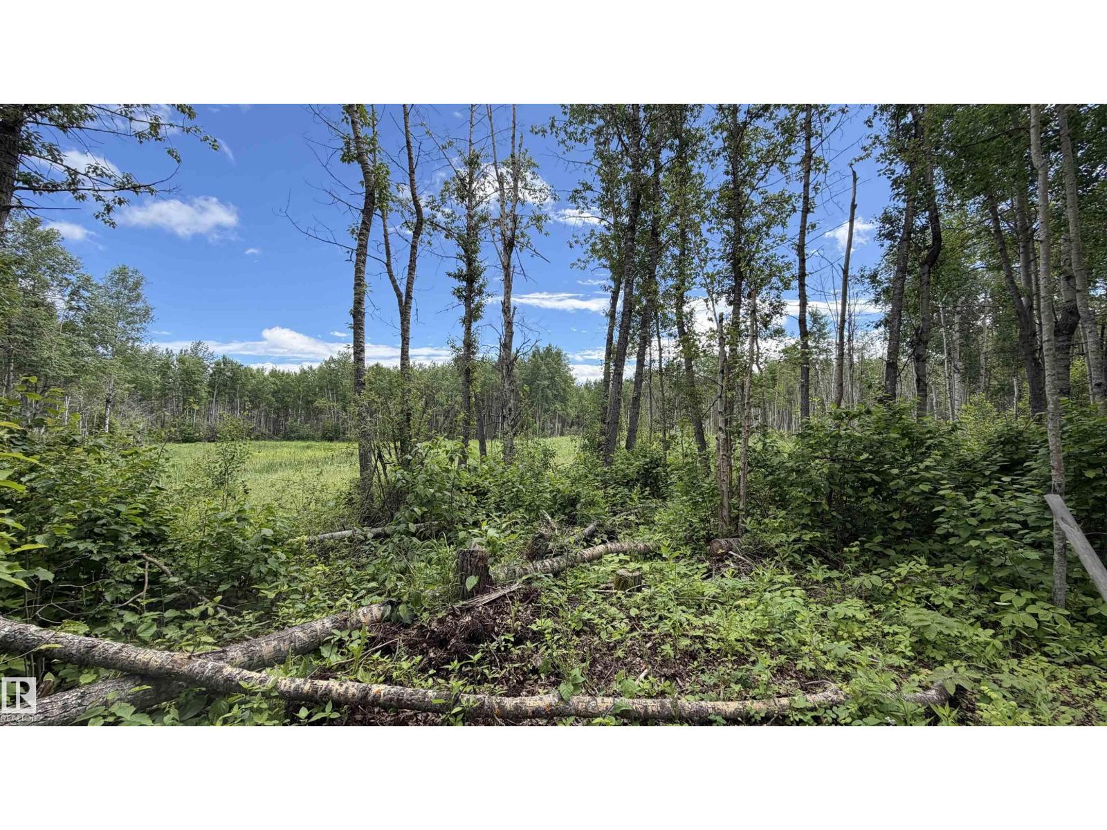 37 Aspen Road, Rural Lac Ste. Anne County, Alberta T0E 0L0 - Photo 10 - E4499429