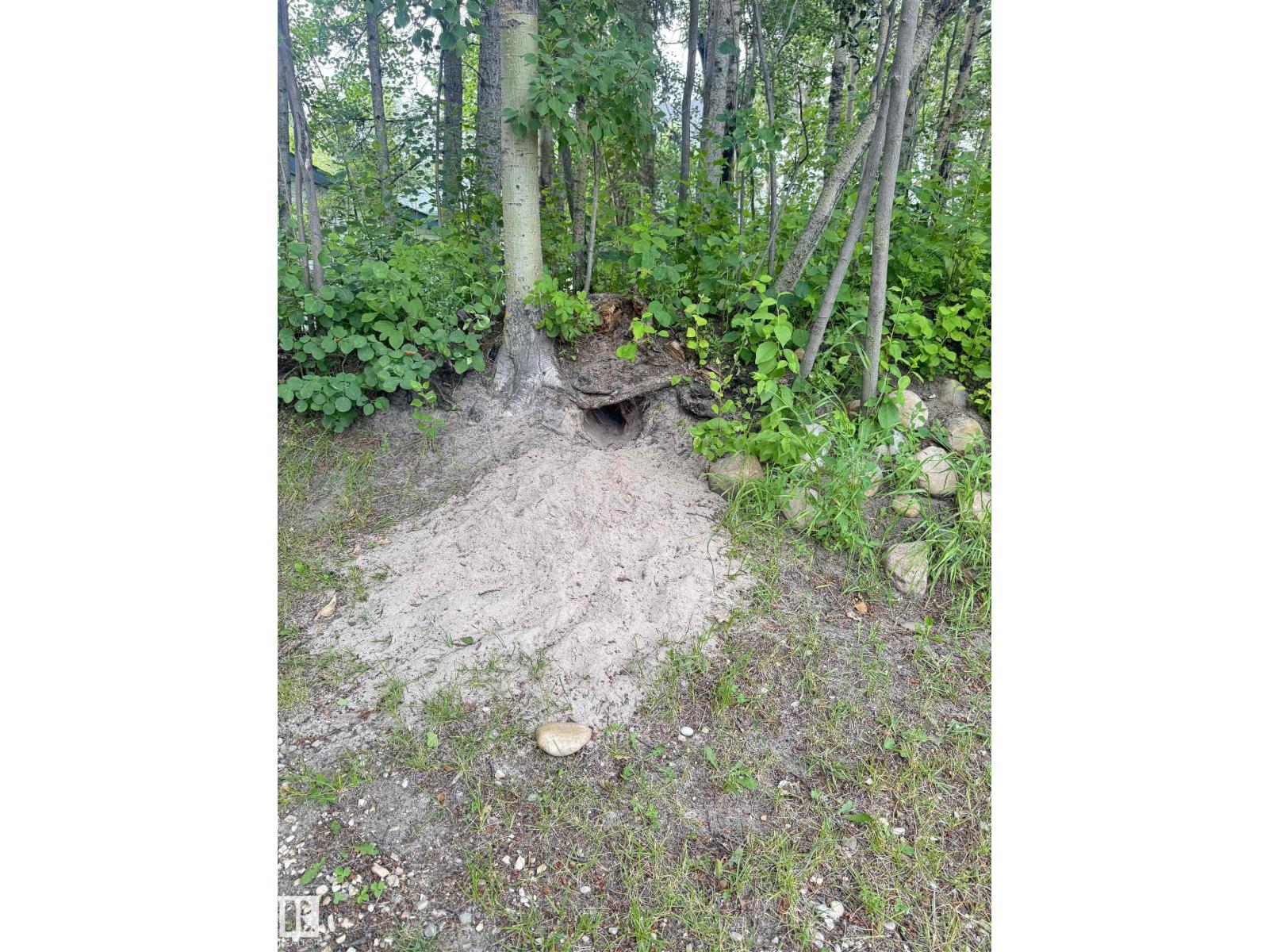 5224 50 Av, Rural Lac Ste. Anne County, Alberta T0E 0A0 - Photo 45 - E4499641